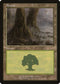 Forest [Arena Promos]