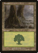 Forest [Arena Promos]