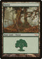 Forest [Arena Promos]