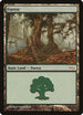 Forest [Arena Promos]