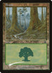 Forest [Arena Promos]