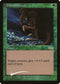 Giant Growth (7) [FNM Promos]