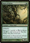 Wall of Roots [FNM Promos]