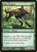 Wild Mongrel [FNM Promos]