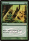 Regrowth [Judge Promos]