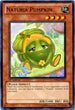 Naturia Pumpkin (STBL-EN031) [Starstrike Blast]
