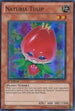 Naturia Tulip (HA03-EN013) [Hidden Arsenal 3]