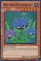 Naturia Hydrangea (HA03-EN044) [Hidden Arsenal 3]