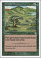 Summer Bloom (144) [Starter 1999]