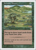 Summer Bloom (144) [Starter 1999]