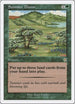 Summer Bloom (144) [Starter 1999]