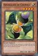 Hourglass of Courage (STOR-EN091) [Storm of Ragnarok]