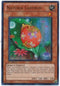 Naturia Ladybug (HA04-EN020) [Hidden Arsenal 4]