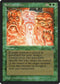 Reincarnation [Legends]
