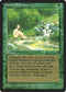 Sylvan Paradise [Legends]