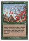 Untamed Wilds (148) [Starter 1999]
