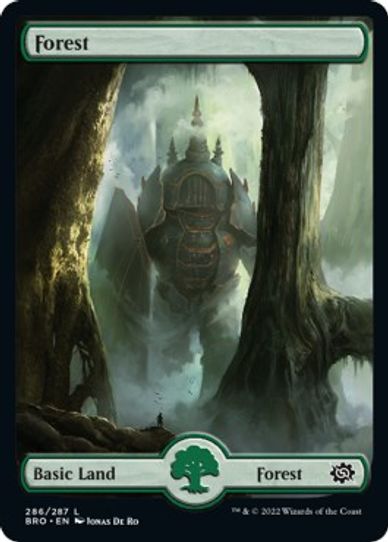 Forest Full Art (286) [The Brothers War]