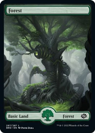 Forest Full Art (287) [The Brothers War]