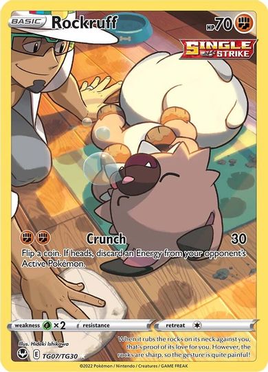 Rockruff (TG07/TG30) [SWSH12: Silver Tempest Trainer Gallery]