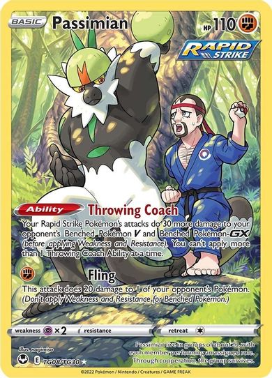 Passimian (TG08/TG30) [SWSH12: Silver Tempest Trainer Gallery]