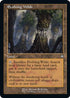 Evolving Wilds (184) [Commander The Brothers War]