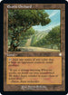 Exotic Orchard (185) [Commander The Brothers War]