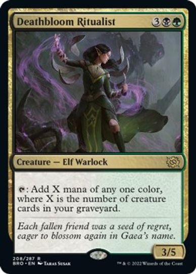 Deathbloom Ritualist (208) [The Brothers War]
