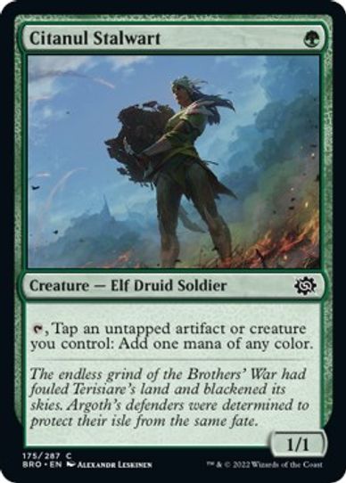 Citanul Stalwart (175) [The Brothers War]