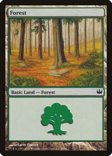 Forest [Duel Decks: Knights vs. Dragons]