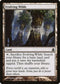 Evolving Wilds [Commander]