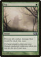 Fog (173) [Magic 2012 (M12)]