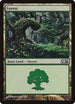 Forest (249) [Magic 2012 (M12)]