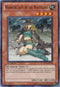 Warrior Lady of the Wasteland (YS11-EN020) [Starter Deck: Dawn of the Xyz]