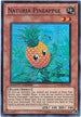 Naturia Pineapple (HASE-EN002) [Hidden Arsenal 4]