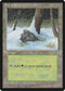 Snow-Covered Forest (347) [Ice Age]