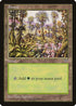 Forest (Pink Flowers Right) (292) [Mirage]