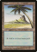Island (Palm Tree) (297) [Mirage]