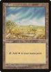 Plains (Watering Hole) (306) [Mirage]