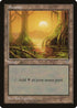 Swamp (Mossy Roots) (311) [Mirage]