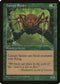 Canopy Spider (111) [Tempest]