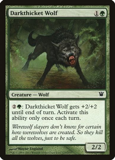 Darkthicket Wolf (175) [Innistrad]