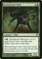 Darkthicket Wolf (175) [Innistrad]