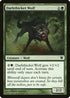 Darkthicket Wolf (175) [Innistrad]