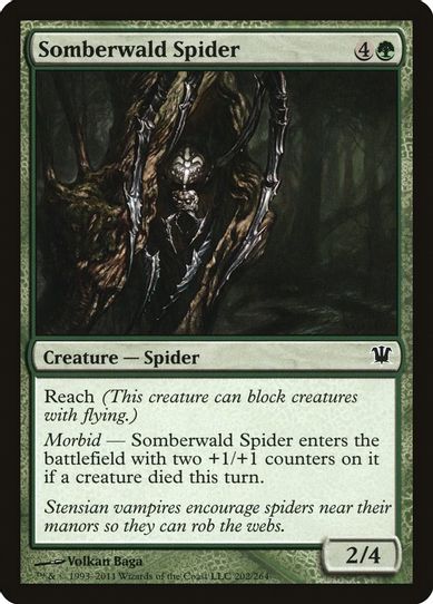 Somberwald Spider (202) [Innistrad]