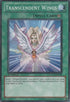 Transcendent Wings (LCGX-EN079) [Legendary Collection 2]