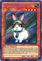 Rescue Rabbit (PHSW-EN037) [Photon Shockwave]