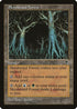 Skyshroud Forest (332) [Tempest]