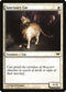 Sanctuary Cat (19) [Dark Ascension]