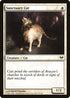 Sanctuary Cat (19) [Dark Ascension]