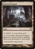 Haunted Fengraf (157) [Dark Ascension]
